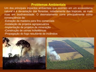 Problemas Ambientais
Um dos principais impactos ambientais que ocorrem em um ecossistema
natural é a devastação das florestas, notadamente das tropicais, as mais
ricas em biodiversidade. O desmatamento corre principalmente como
conseqüência da:
-Extração da madeira para fins comerciais
-Instalação de projetos agropecuários
-Implantação de projetos de mineração
-Construção de usinas hidrelétricas
-Propagação do fogo resultante de incêndios

 