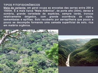 TIPOS FITOFISIONÔMICOS
Mata de vertente: em geral ocupa as encostas das serras entre 200 e
1500m. É a mais típica “Mata Atlântica”, de porte alto (30m), densa e
sombria, grande variedade de espécies, sempre verde, troncos
relativamente
delgados,
com
grande
ocorrência
de
cipós,
samambaias e epífitas. Solo recoberto por serrapilheira que pouco a
pouco se decompõe formando uma camada superficial de solo, rica
em matéria orgânica.

 