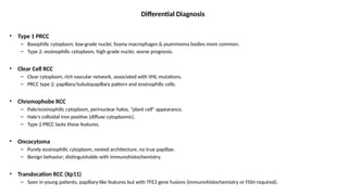 Papillary Rcc Differential slide 17-Papilla Renal Cell CaType2.pptx