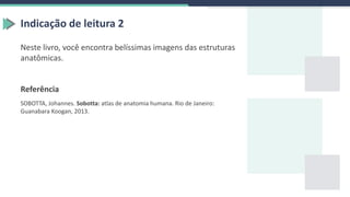 Indicação de leitura 2
Neste livro, você encontra belíssimas imagens das estruturas
anatômicas.
Referência
SOBOTTA, Johannes. Sobotta: atlas de anatomia humana. Rio de Janeiro:
Guanabara Koogan, 2013.
 