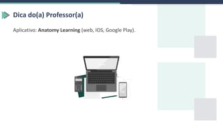 Dica do(a) Professor(a)
Aplicativo: Anatomy Learning (web, IOS, Google Play).
 