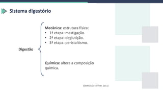 Sistema digestório
Digestão
Mecânica: estrutura física:
• 1ª etapa: mastigação.
• 2ª etapa: deglutição.
• 3ª etapa: peristaltismo.
Química: altera a composição
química.
(DANGELO; FATTINI, 2011)
 