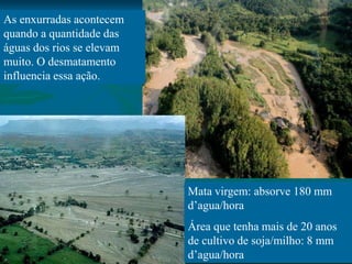 As enxurradas acontecem
quando a quantidade das
águas dos rios se elevam
muito. O desmatamento
influencia essa ação.
Mata virgem: absorve 180 mm
d’agua/hora
Área que tenha mais de 20 anos
de cultivo de soja/milho: 8 mm
d’agua/hora
 