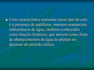 Uma característica marcante nesse tipo de solo
é a presença de aqüíferos, imensos mananciais
subterrâneos de água, também conhecidos
como lençóis freáticos, que servem como fonte
de abastecimentos de água às plantas no
decorrer do período crítico.
 
