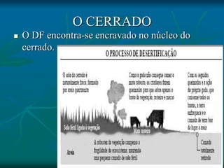 O CERRADO
 O DF encontra-se encravado no núcleo do
cerrado.
 