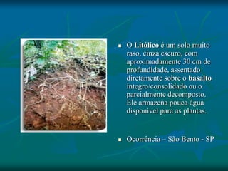  O Litólico é um solo muito
raso, cinza escuro, com
aproximadamente 30 cm de
profundidade, assentado
diretamente sobre o basalto
íntegro/consolidado ou o
parcialmente decomposto.
Ele armazena pouca água
disponível para as plantas.
 Ocorrência – São Bento - SP
 