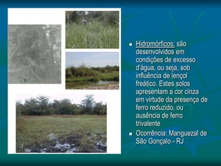  Hidromórficos: são
desenvolvidos em
condições de excesso
d’água, ou seja, sob
influência de lençol
freático. Estes solos
apresentam a cor cinza
em virtude da presença de
ferro reduzido, ou
ausência de ferro
trivalente
 Ocorrência: Manguezal de
São Gonçalo - RJ
 