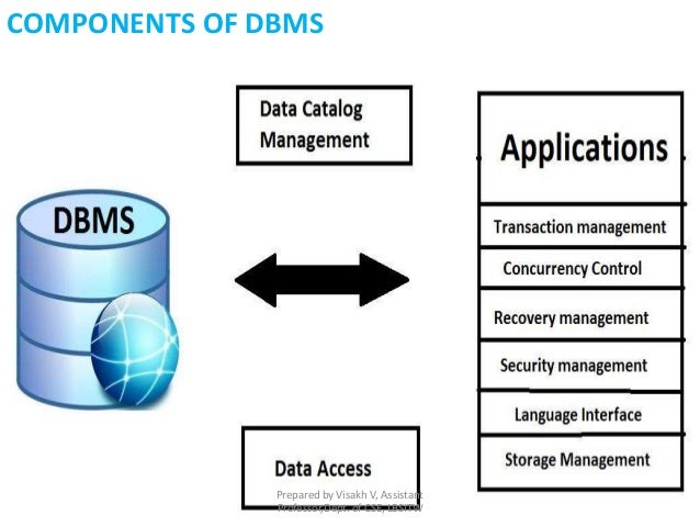 dbms