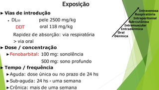 Exposição
▶ Vias de introdução
▶ DL50
DDT
pele 2500 mg/kg
oral 118 mg/kg
Rapidez de absorção: via respiratória
> via oral
▶ Dose / concentração
▶Fenobarbital: 100 mg: sonolência
500 mg: sono profundo
▶ Tempo / frequência
▶Aguda: dose única ou no prazo de 24 hs
▶Sub-aguda: 24 hs - uma semana
▶Crônica: mais de uma semana
Intravenosa
Respiratória
Intraperitonial
Sub-cutânea
Intramuscular
Intradérmica
Oral
Dérmica
RISCO
 
