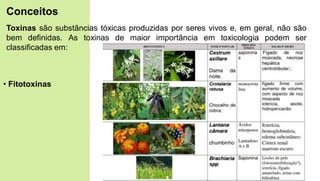 Toxinas são substâncias tóxicas produzidas por seres vivos e, em geral, não são
bem definidas. As toxinas de maior importância em toxicologia podem ser
classificadas em:
• Fitotoxinas
Conceitos
 