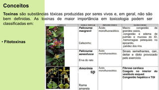 Toxinas são substâncias tóxicas produzidas por seres vivos e, em geral, não são
bem definidas. As toxinas de maior importância em toxicologia podem ser
classificadas em:
• Fitotoxinas
Conceitos
 