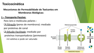 Toxicocinética
Mecanismos de Permeabilidade de Toxicantes em
Membranas Biológicas:
1 – Transporte Passivo:
Para íons e moléculas polares :
 Filtração (poros de membrana): mediado
por proteínas de canal
 Difusão Facilitada: mediado por
proteínas transportadoras (permeases)
é seletivo e pode ser saturado
 