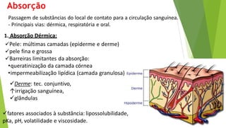 Passagem de substâncias do local de contato para a circulação sanguínea.
- Principais vias: dérmica, respiratória e oral.
1. Absorção Dérmica:
Pele: múltimas camadas (epiderme e derme)
pele fina e grossa
Barreiras limitantes da absorção:
•queratinização da camada córnea
•impermeabilização lipídica (camada granulosa)
Derme: tec. conjuntivo,
↑irrigação sanguínea,
glândulas
fatores associados à substância: lipossolubilidade,
pKa, pH, volatilidade e viscosidade.
Absorção
 