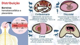 Distribuição
Barreiras
hematoencefálica e
placentária
 