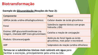 Biotransformação
Exemplo de Glicuranidação (Reações de Fase 2):
Componente Papel
UDPGA (ácido uridina difosfoglicurônico) Cofator doador de ácido glicurônico
Fenol
Substância (agente tóxico) com grupo
hidroxila (-OH)
Enzima: UDP-glucuroniltransferase (na
imagem, chamada UDP trans-glicuronilase)
Catalisa a reação de conjugação
Produto: Glicuroconjugado
Molécula do fenol ligada ao ácido
glicurônico, mais polar e excretável
UDP Subproduto da reação (uridina difosfato)
Tornou-se a substâncias tóxicas mais solúveis em água para
facilitar a excreção, principalmente pela urina ou bile.
 