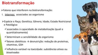 Fatores que interferem na biotransformação:
I. Internos: associados ao organismo
Espécie e Raça; Genética; Gênero; Idade; Estado Nutricional
e Patológico
associados à capacidade de metabolização (quali e
quantitativamente)
determinam a sensibilidade do organismo
fatores dietéticos → desnutrição: redução de proteínas,
vitaminas, GSH
influência variável na toxicidade: substâncias ativas ou
bioativadas
Biotransformação
 