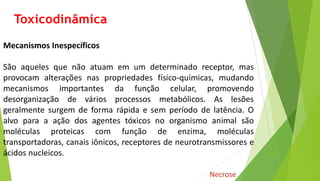 Toxicodinâmica
Mecanismos Inespecíficos
São aqueles que não atuam em um determinado receptor, mas
provocam alterações nas propriedades físico-químicas, mudando
mecanismos importantes da função celular, promovendo
desorganização de vários processos metabólicos. As lesões
geralmente surgem de forma rápida e sem período de latência. O
alvo para a ação dos agentes tóxicos no organismo animal são
moléculas proteicas com função de enzima, moléculas
transportadoras, canais iônicos, receptores de neurotransmissores e
ácidos nucleicos.
Necrose
 