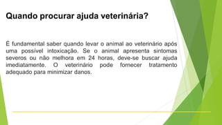 Quando procurar ajuda veterinária?
É fundamental saber quando levar o animal ao veterinário após
uma possível intoxicação. Se o animal apresenta sintomas
severos ou não melhora em 24 horas, deve-se buscar ajuda
imediatamente. O veterinário pode fornecer tratamento
adequado para minimizar danos.
 