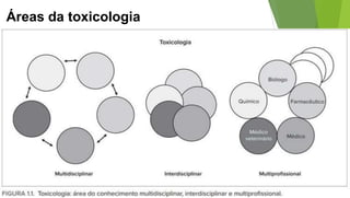 Áreas da toxicologia
 