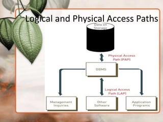 Logical and Physical Access Paths
 