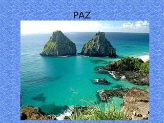 PAZ 