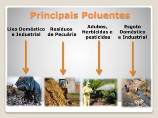 Principais Poluentes 
Lixo Doméstico 
e Industrial 
Esgoto 
Doméstico 
e Industrial 
Adubos, 
Herbicidas e 
pesticidas 
Resíduos 
de Pecuária 
 