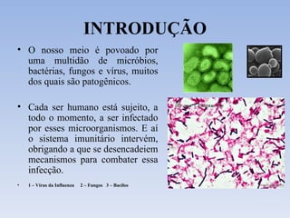 INTRODUÇÃO O nosso meio é povoado por uma multidão de micróbios, bactérias, fungos e vírus, muitos dos quais são patogênicos. Cada ser humano está sujeito, a todo o momento, a ser infectado por esses microorganismos. E aí o sistema imunitário intervém, obrigando a que se desencadeiem mecanismos para combater essa infecção. 1 – Vírus da Influenza  2 – Fungos  3 – Bacilos 