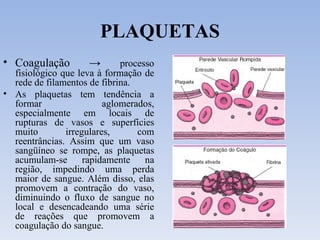 PLAQUETAS Coagulação ->  processo fisiológico que leva à formação de rede de filamentos de fibrina. As plaquetas tem tendência a formar aglomerados, especialmente em locais de rupturas de vasos e superfícies muito irregulares, com reentrâncias. Assim que um vaso sangüíneo se rompe, as plaquetas acumulam-se rapidamente na região, impedindo uma perda maior de sangue. Além disso, elas promovem a contração do vaso, diminuindo o fluxo de sangue no local e desencadeando uma série de reações que promovem a coagulação do sangue. 