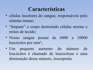 Características células incolores do sangue, responsáveis pelo sistema imune; “ limpam” o corpo destruindo células mortas e restos de tecido; Nosso sangue possui de 6000 a 10000 leucócitos por mm³; Um pequeno aumento do número de leucócitos é chamado de leucocitose e uma diminuição desse número, leucopenia . 