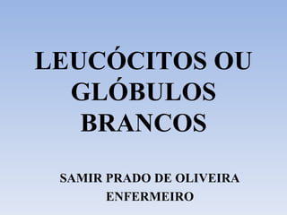 LEUCÓCITOS OU GLÓBULOS BRANCOS SAMIR PRADO DE OLIVEIRA ENFERMEIRO 