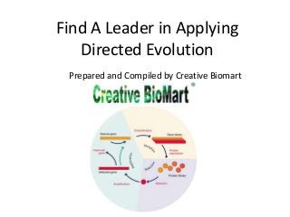 Find A Leader in Applying 
Directed Evolution 
Prepared and Compiled by Creative Biomart 
 