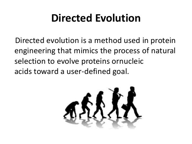 Is Natural Selection Goal Directed Is Natural Selection Goal Directed