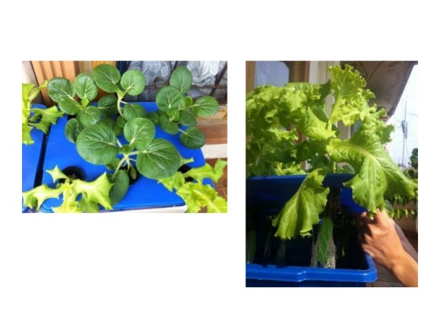 Slide2 hidro Slide2 hidro