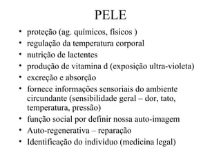 PELE
• proteção (ag. químicos, físicos )
• regulação da temperatura corporal
• nutrição de lactentes
• produção de vitamina d (exposição ultra-violeta)
• excreção e absorção
• fornece informações sensoriais do ambiente
circundante (sensibilidade geral – dor, tato,
temperatura, pressão)
• função social por definir nossa auto-imagem
• Auto-regenerativa – reparação
• Identificação do indivíduo (medicina legal)
 