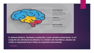 O sistema límbico, também conhecido como cérebro emocional, é um
conjunto de estruturas localizado no cérebro de mamíferos, abaixo do
córtex e responsável por todas as respostas emocionais.
CÉREBRO
 
