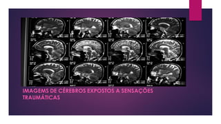 IMAGEMS DE CÉREBROS EXPOSTOS A SENSAÇÕES
TRAUMÁTICAS
 