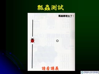 瓢蟲測試
請看講義
 