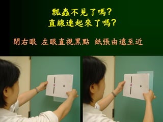 瓢蟲不見了嗎?
直線連起來了嗎?
閉右眼 左眼直視黑點 紙張由遠至近
 