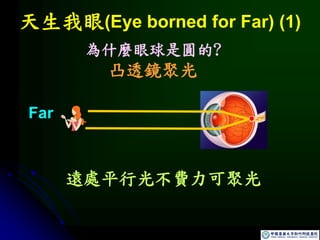 天生我眼(Eye borned for Far) (1)
Far
遠處平行光不費力可聚光
為什麼眼球是圓的?
凸透鏡聚光
 