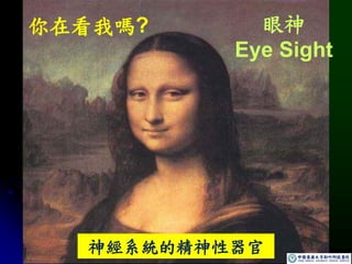 你在看我嗎? 眼神
Eye Sight
神經系統的精神性器官
 