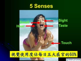 5 Senses
Sight
Smell
Hear Taste
Touch
視覺使用度佔每日五大感官的60%
 