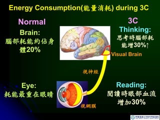 視神經
Eye:
耗能最重在眼睛
Brain:
腦部耗能約佔身
體20%
Visual Brain
視網膜
Energy Consumption(能量消耗) during 3C
Reading:
閱讀時眼部血流
增加30%
Thinking:
思考時腦部耗
能增30%↑
Normal 3C
 