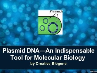 Plasmid DNA—An Indispensable
Tool for Molecular Biology
by Creative Biogene
 