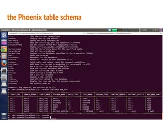 the Phoenix table schema
 