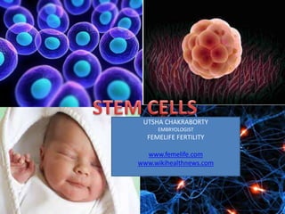 Embryonic stem cells | PPTX