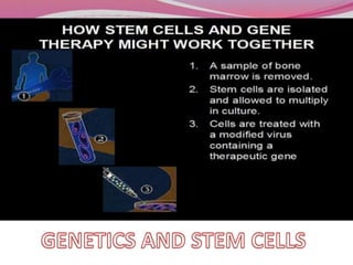 Embryonic stem cells | PPTX