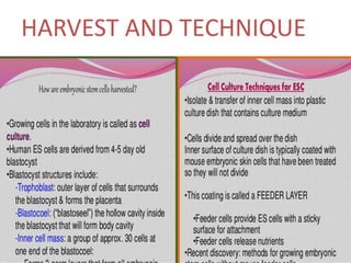 Embryonic stem cells | PPTX
