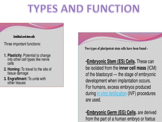 Embryonic stem cells | PPTX