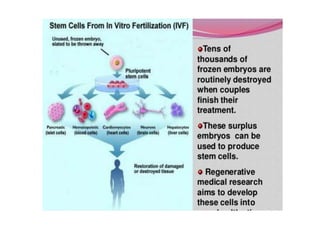 Embryonic stem cells | PPTX