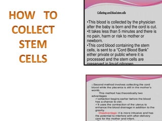 Embryonic stem cells | PPTX